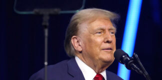 Trump utilizó un insulto para describir a Harris en charlas privadas Trump utilizó un insulto para describir a Harris en charlas privadas