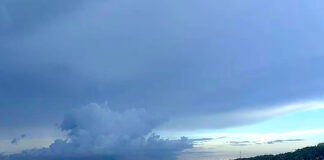 Francine gana fuerza y llegará a Louisiana como huracán categoría 2 Francine gana fuerza y llegará a Louisiana como huracán categoría 2