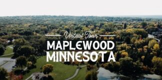 Retiran el apoyo al proyecto de autobús de la Línea Púrpura Retiran el apoyo al proyecto de autobús de la Línea Púrpura