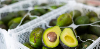 México y EEUU acuerdan supervisión de aguacate para exportación México acuerda que EEUU supervise huertos de aguacate para exportación