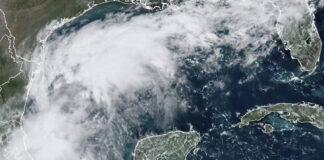 Tormenta tropical “Francine” podría llegar a EEUU como huracán Tormenta tropical "Francine" podría llegar a EEUU como huracán