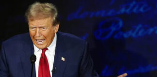 ¿Cómo surgió la mentira de Trump de los migrantes que comen mascotas? ¿Cómo surgió la mentira de Trump de los migrantes que comen mascotas?