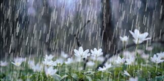 Lluvia el jueves en Twin Cities después de 34 días sin lluvia  Lluvia el jueves en Twin Cities después de 34 días sin lluvia