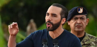 Ejército de El Salvador incautó 45 toneladas de drogas en 2024 Ejército de El Salvador incautó 45 toneladas de drogas en 2024