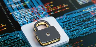 Expertos en ciberseguridad reclutan estudiantes Expertos en ciberseguridad reclutan estudiantes