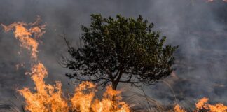 Jueves cálido y ventoso con más preocupaciones por incendios Jueves cálido y ventoso con más preocupaciones por incendios