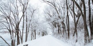 ¿Cuándo será la primera nevada de la temporada en Minn.? ¿Cuándo será la primera nevada de la temporada en Minn.?