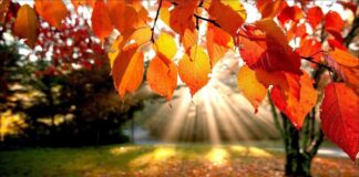 Inicio de semana cálido después lluvias y frio en Minnesota Inicio de semana cálido después lluvias y frio en Minnesota