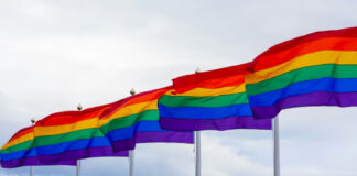 La comunidad LGBTI+ con miedo e incertidumbre ante regreso de Trump La comunidad LGBTI+ con miedo e incertidumbre ante regreso de Trump