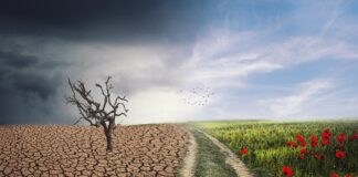 El cambio climático ahora es un tema obligatorio en las escuelas secundarias de Minnesota El cambio climático ahora es un tema obligatorio en las escuelas secundarias de Minnesota