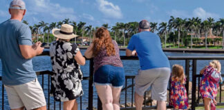 Mar-a-Lago se llena de seguidores y de quienes buscan un cargo con Trump Mar-a-Lago se llena de seguidores y de quienes buscan un cargo con Trump