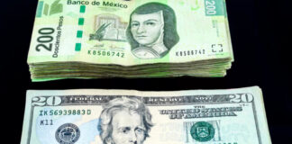 Precio del dólar abre al alza en 20.31 pesos mexicanos al mayoreo Precio del dólar abre al alza en 20.31 pesos mexicanos al mayoreo