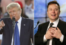 Trump designa a Elon Musk al frente del “Departamento de Eficiencia Gubernamental Trump designa a Elon Musk al frente del “Departamento de Eficiencia Gubernamental