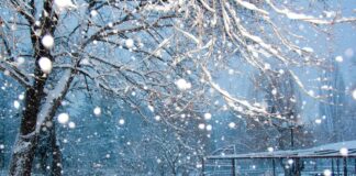 ¿Cuándo llegará la primera nevada significativa de la temporada a Minnesota? ¿Cuándo llegará la primera nevada significativa de la temporada a Minnesota? Un vistazo a inviernos pasados