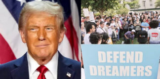 Aliados de Trump alistan plan de deportación masiva, dice CNN Aliados de Trump alistan plan de deportación masiva, dice CNN