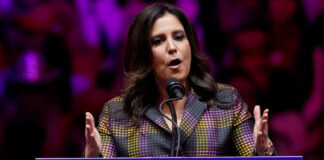 Trump elige a Elise Stefanik como embajadora ante la ONU Trump elige a Elise Stefanik como embajadora ante la ONU