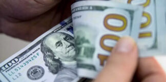 Dólar abre en 20.64 pesos al mayoreo tras triunfo de Trump en EEUU Dólar abre en 20.64 pesos al mayoreo tras triunfo de Trump en EEUU