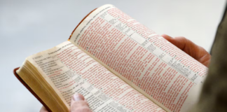 Texas aprueba plan de estudios con financiación extra por enseñar la Biblia Texas aprueba plan de estudios con financiación extra por enseñar la Biblia