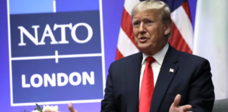 Trump y jefe de la OTAN abordan temas de “seguridad global”, en Florida Trump y jefe de la OTAN abordan temas de “seguridad global”, en Florida