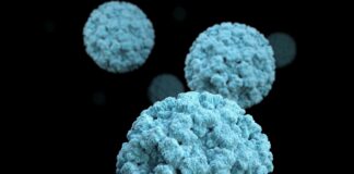 Casos de norovirus en aumento en Minnesota, advierten las autoridades de salud Casos de norovirus en aumento en Minnesota, advierten las autoridades de salud