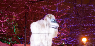 ¡Holidazzle regresa a Nicollet Mall después de una década! ¡Holidazzle regresa a Nicollet Mall después de una década!