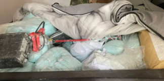 Récord histórico: Decomisan más de una tonelada de fentanilo en Sinaloa, México Récord histórico: Decomisan más de una tonelada de fentanilo en Sinaloa, México