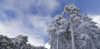 Monitoreo de un potencial de nevada significativa en Minnesota la próxima semana Monitoreo de un potencial de nevada significativa en Minnesota la próxima semana