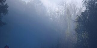 Densa niebla y descenso de temperaturas esta semana en las Twin Cities Densa niebla y descenso de temperaturas esta semana