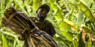 300 personas fueron esclavizadas por Furukawa, empresa japonesa, en Ecuador 300 personas fueron esclavizadas por Furukawa, empresa japonesa, en Ecuador
