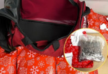 Arrestan en aeropuerto a mujer con 10 kilos de metanfetamina, en Nueva Zelanda Arrestan en aeropuerto a mujer con 10 kilos de metanfetamina, en Nueva Zelanda