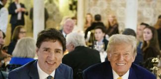 EEUU coordinará esfuerzos con Canadá para abordar crisis de fentanilo EEUU coordinará esfuerzos con Canadá para abordar crisis de fentanilo