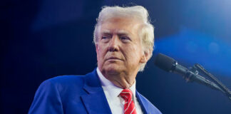 Trump declarará a los cárteles mexicanos como “organizaciones terroristas” Trump declarará a los cárteles mexicanos como “organizaciones terroristas”