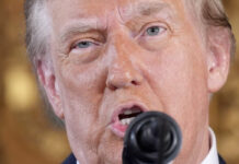 Trump demanda a encuestadora que dijo que perdería por publicar encuesta errónea Trump demanda a encuestadora que dijo que perdería por "interferencia electoral"