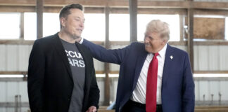 Los estadounidenses ven muy similares a Elon Musk y Donald Trump Los estadounidenses ven muy similares a Elon Musk y Donald Trump