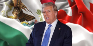 “México y Canadá ya están advertidos, deben detener el flujo de migrantes”: Trump "México y Canadá ya están advertidos, deben detener el flujo de migrantes": Trump