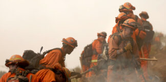 El actor William Baldwin elogia a bomberos mexicanos que ayudan a combatir incendios El actor William Baldwin elogia a bomberos mexicanos que ayudan a combatir incendios