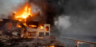 State Farm cortó muchas coberturas de seguros en Pacific Palisades en 2024 State Farm cortó muchas coberturas de seguros en Pacific Palisades en 2024