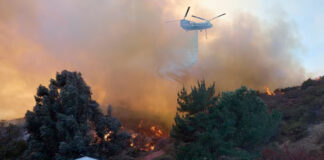 YouTube y Google donan 15 mdd de ayuda por incendios en Los Ángeles YouTube y Google donan 15 mdd de ayuda por incendios en Los Ángeles