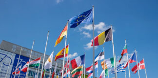 A cinco años del Brexit, británicos apoyan el regreso a la Unión Europea A cinco años del Brexit, británicos apoyan el regreso a la Unión Europea