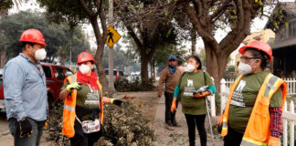 Contradiciendo a Trump, migrantes se unen para retirar escombros en Los Ángeles Contradiciendo a Trump, migrantes se unen para retirar escombros en Los Ángeles