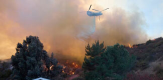 Sube a 16 el número de muertos por incendios en Los Ángeles Sube a 16 el número de muertos por incendios en Los Ángeles