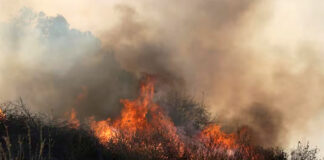 Trump acusa de “incompetentes” a políticos por incendios en Los Ángeles Trump acusa de "incompetentes" a políticos por incendios en Los Ángeles
