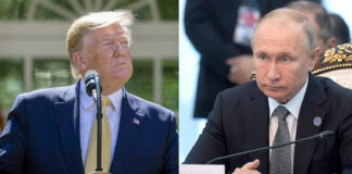 Trump negociará la paz de Ucrania con Putin; Zelensky está dispuesto, dice Trump negociará la paz de Ucrania con Putin; Zelensky está dispuesto, dice