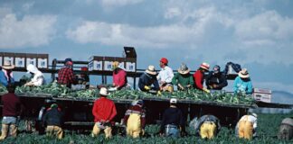 Nuevo proyecto de ley requeriría que fiscales del condado reporten a inmigrantes indocumentados Nuevo proyecto de ley requeriría que fiscales del condado reporten a inmigrantes indocumentados