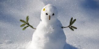 Abríguense, Minnesota: otra ola de frío intenso se acerca Abríguense, Minnesota: otra ola de frío intenso se acerca