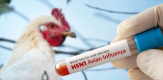 USDA intenta recontratar empleados despedidos por error USDA intenta recontratar empleados despedidos por error