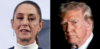 México y EEUU logran acuerdo para pausar los aranceles por un mes México y EEUU logran acuerdo para pausar los aranceles por un mes