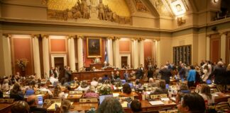 Demócratas retoman control del Senado de Minnesota Demócratas retoman control del Senado de Minnesota