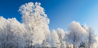 ¿Cuánta nieve podría caer en Minneapolis y St. Paul este fin de semana? ¿Cuánta nieve podría caer en Minneapolis y St. Paul este fin de semana?
