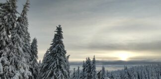 Minnesota: Nieve en el centro-norte, otras áreas secas Minnesota: Nieve en el centro-norte, otras áreas secas